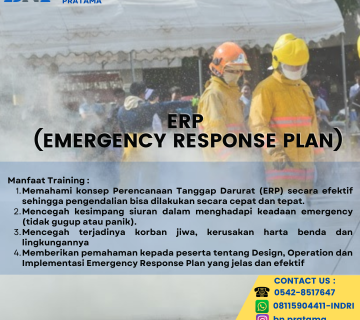 ERP FLAYER 1 360x320