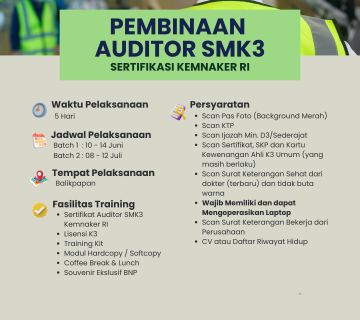 Eflyer Auditor SMK3 360x320